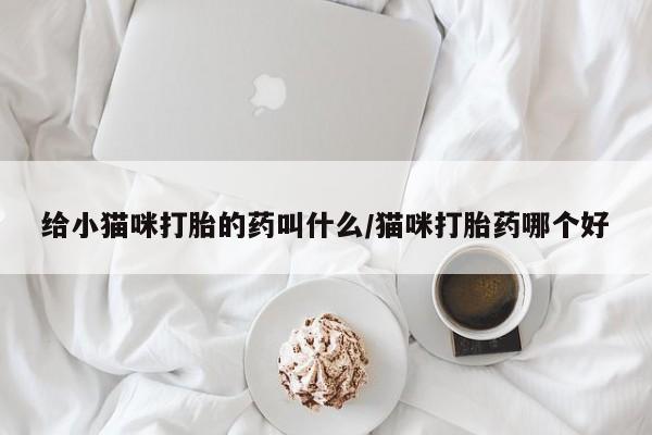 打胎药药店有卖给小猫咪打胎的药叫什么/猫咪打胎药哪个好