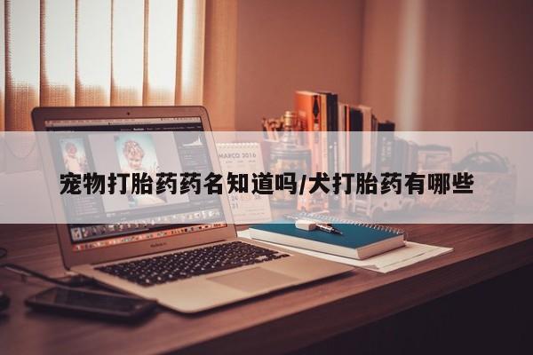 打胎药药店有卖宠物打胎药药名知道吗/犬打胎药有哪些