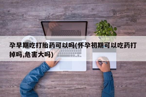 打胎药药店有卖孕早期吃打胎药可以吗(怀孕初期可以吃药打掉吗,危害大吗)